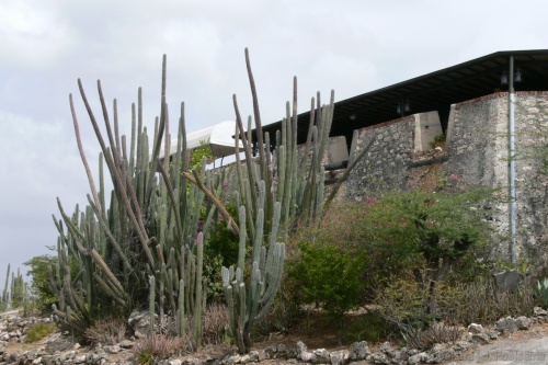Curacao-022