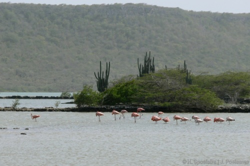 Curacao-032